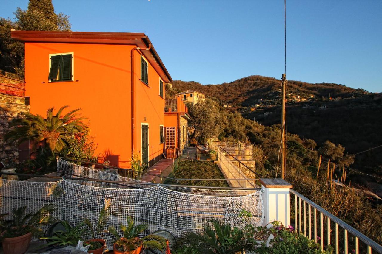 Il Cuoco Pescatore, Ittiturismo Lecardonaie Du Pescou Recco Exterior foto